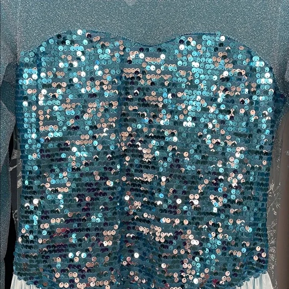 Adult Elsa Frozen Dress Costume - Picture 10 of 11